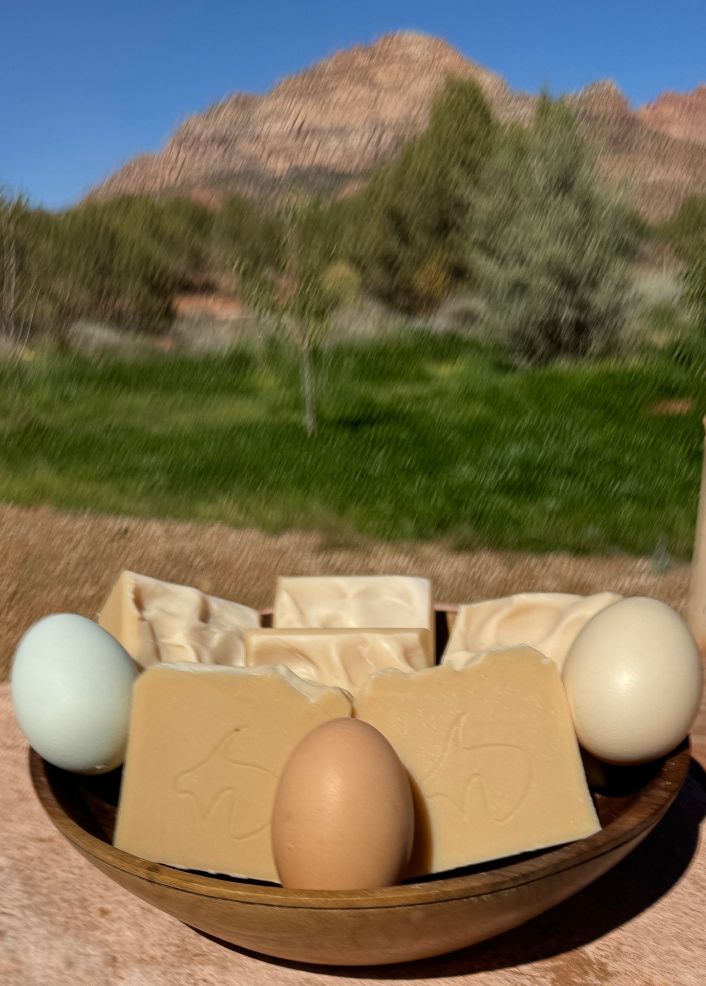 Egg Soap (Also good for Human Shampoo Bar & Dogs): Emolliant, Silky, Lotion-like, Protein-rich