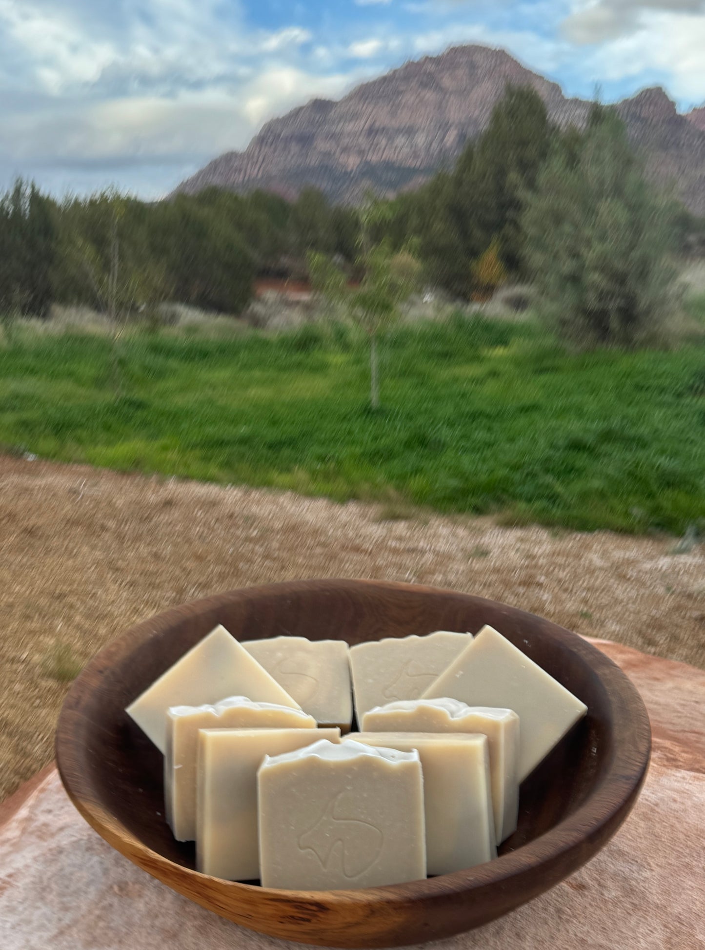 Cambrian Clay: Exfoliant, Mineral-rich, Draws out Impurities, Moisturizes, Facial Spa Soap