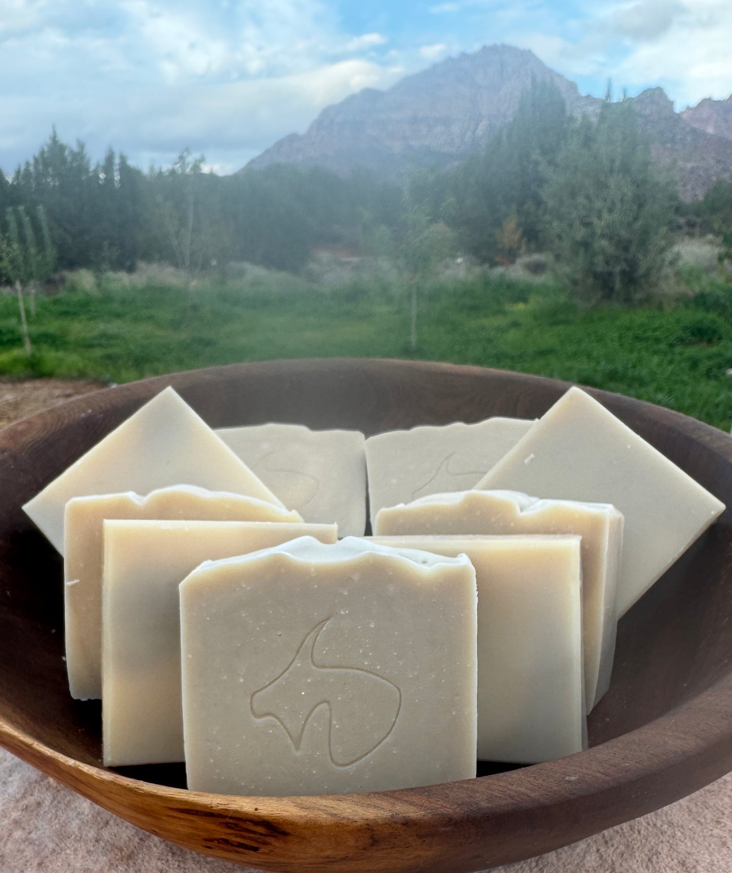 Cambrian Clay: Exfoliant, Mineral-rich, Draws out Impurities, Moisturizes, Facial Spa Soap