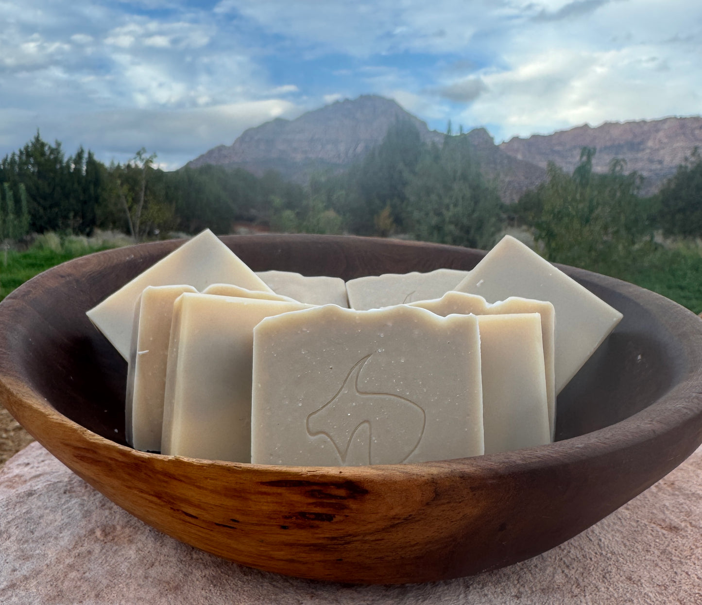 Cambrian Clay: Exfoliant, Mineral-rich, Draws out Impurities, Moisturizes, Facial Spa Soap