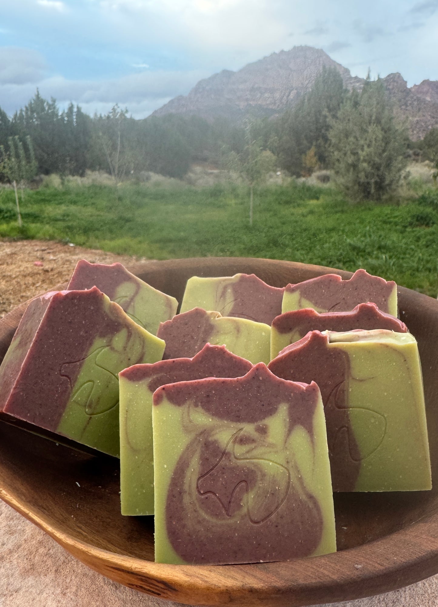 Christmas: Chlorella Rhubarb: Deep cleanser, Purifier, Anti-oxidant, Vitamin-rich, Anthocyanins, moisturizing