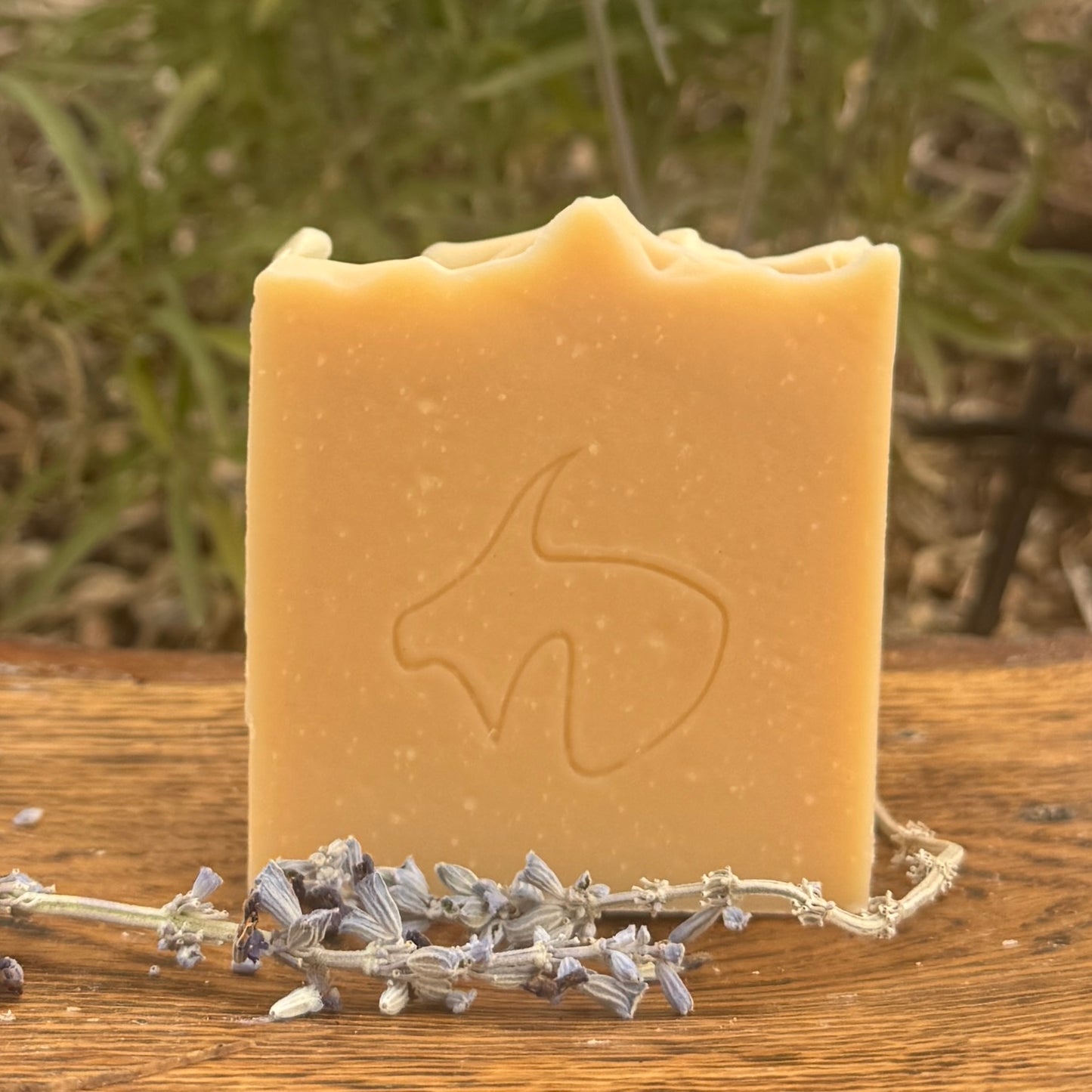 Lavender (contains Essential Oil): Calming, Creamy, Gentle, Soothing, Natural anti-septic, Anti-bacterial, & Anti-fungal